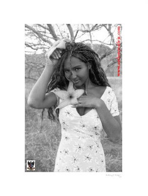 A Flower Begins To Bloom A Flower Begins To Bloom ©1996