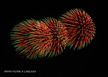 Amazing Maltese Fireworks