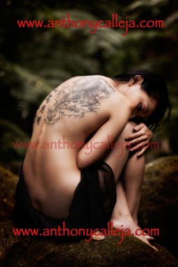 Tattoo Art Photography Tattoo Art Photography
