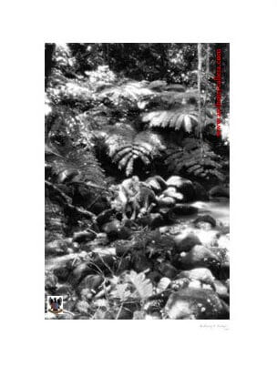 Auguste Rodin - The Thinker Auguste Rodin - The Thinker