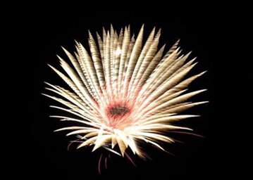 Fireworks Photography