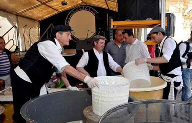 Giant gbejna made in Gharb Giant gbejna made in Gharb