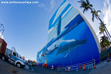 Hawaii Artist Wyland at Work
