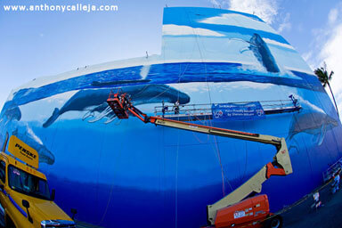 Hawaii Artist Wyland at Work