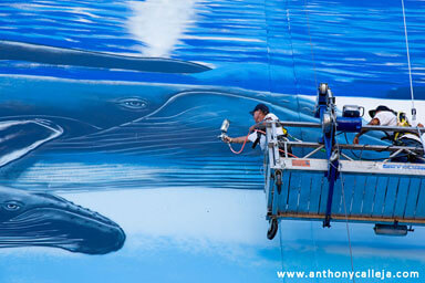 Hawaii Artist Wyland at Work
