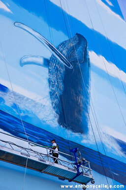 Hawaii Artist Wyland at Work