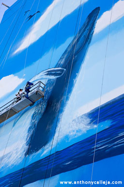  Hawaii Artist Wyland at Work