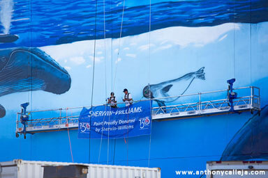 Hawaii Artist Wyland at Work