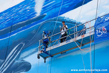  Hawaii Artist Wyland at Work
