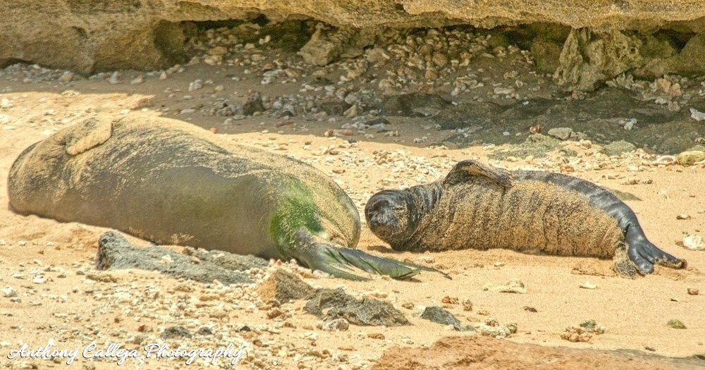 Top Places To Take A Selfie In Waikik