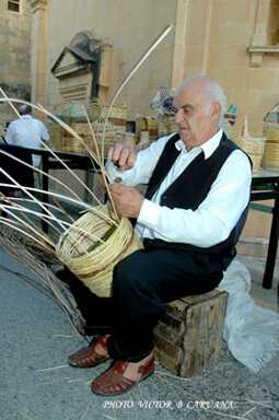 Maltese Cane Worker Maltese Cane Worker