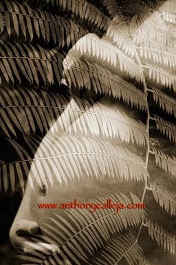 Hawaii Maternity art photography