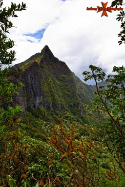 Koolau Mountain Range - Photographed from old Pali Road Oahu Hawaii