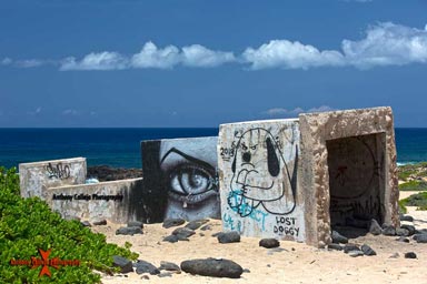 The Kaena Point Natural Reserve Area was created in 1983 to help protect the fragile dunes & native species on the point. Making the area immediately around the point off-limits to dogs & vehicles has helped restore the natural landscape & elevate the number of nesting albatross & wedge-tailed shearwaters.