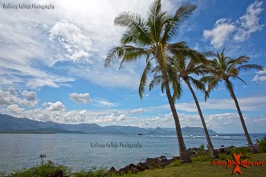 Seascape Photography Windward, Oahu, Hawaii