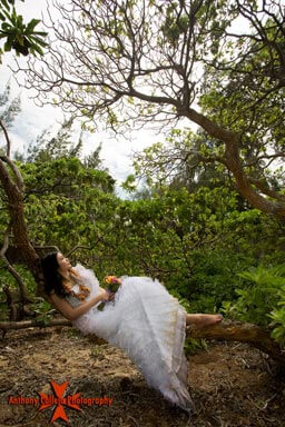 Honolulu wedding photography of bride in tree waimanalo beach wedding on Oahu