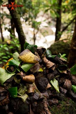 there are many offerings on the trail to the Falls