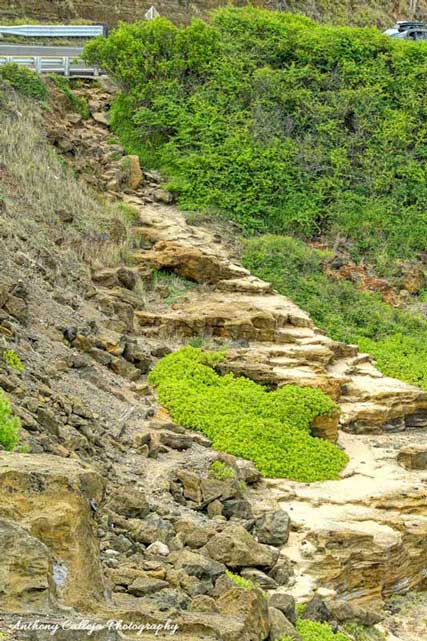 Photo of the path to Eternity Beach, Oahu, Hawaii