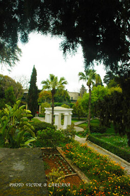 San Anton Gardens