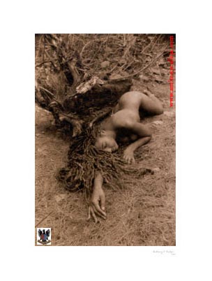 Sleeping Beauty © 1998