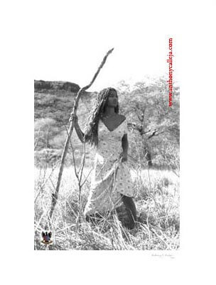 The Journey Begins The Journey Begins © 1996