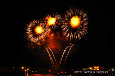 Sun Flower in the Sky