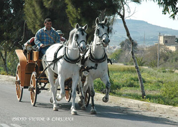 Sunday Afternoon Ride in Gozo Sunday Afternoon Ride in Gozo