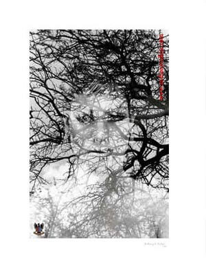 The Air That We Breath ©1997