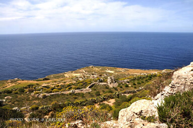 THE BLUE MEDITERRANEAN