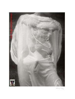 Hawaii Art Photography The Centurion © 1999