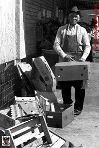 The Golden Years 1981