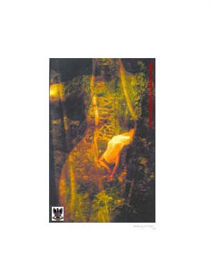 The Root of The Soul ©1999