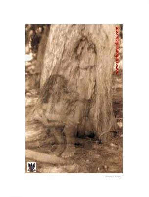 The Spirits of The Sanctuary ©1997