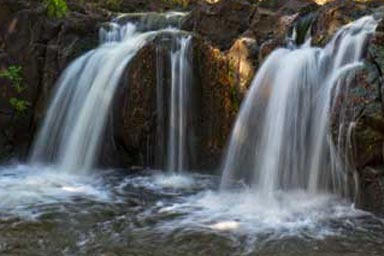 Lili`uokalani Botanical Garden