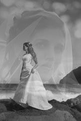 Wedding Portrait Photo Montage Art