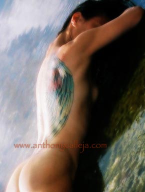 Wing Tattoo Art Wing Tattoo Art