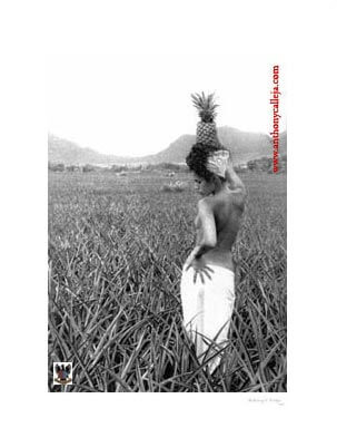 Woman in Pineapple Field Woman in Pineapple Field ©1997